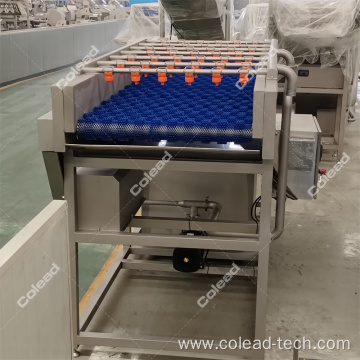 Commercial palm date washing machine